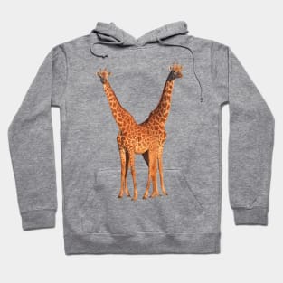 Maasai-Giraffe - Giraffe - Wildlife in Africa Hoodie